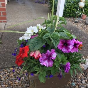 Meet your Posher, Julie